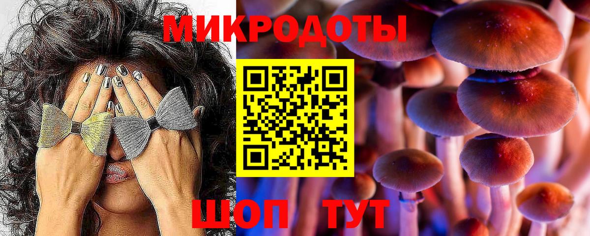 Майкоп  Псилоцибиновые грибы MAGIC MUSHROOMS  Вход с VPN 